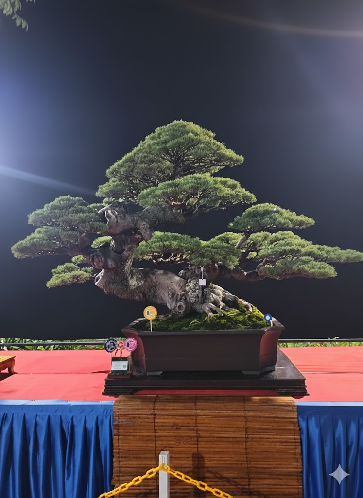 Galeri Bonsai Pamnas Jawara Istimewa 2025